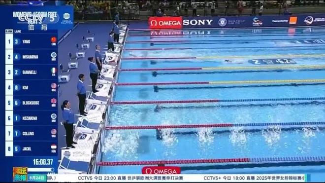 爱尔兰游泳选手在自由泳项目中夺得金牌的简单介绍